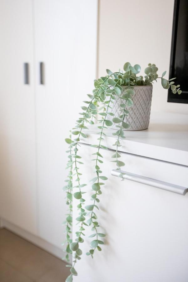 Dona Concha Alameda Apartment Seville Ngoại thất bức ảnh